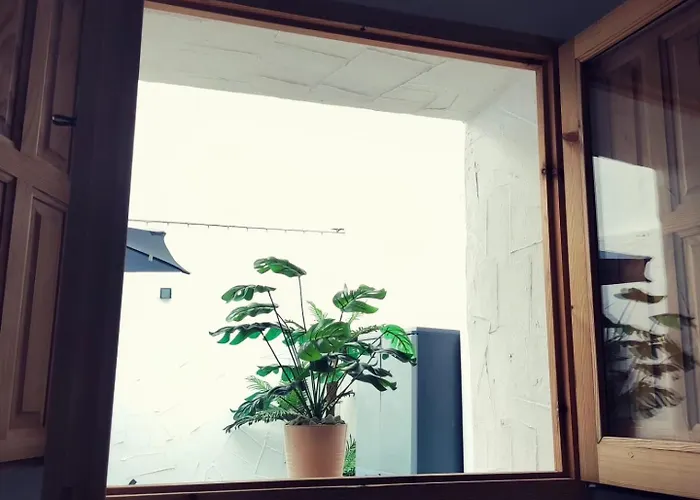 Apartamento La Lola - Patio Privado Jerez de la Frontera